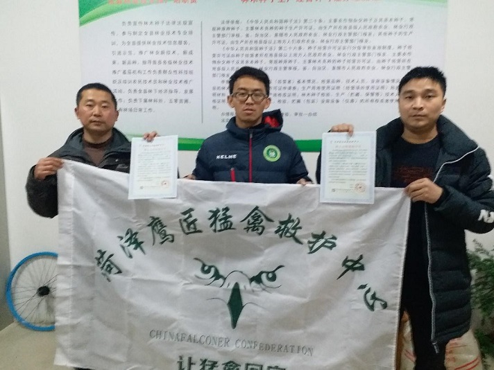 ˫���ƽ���ʽ��Ӱ